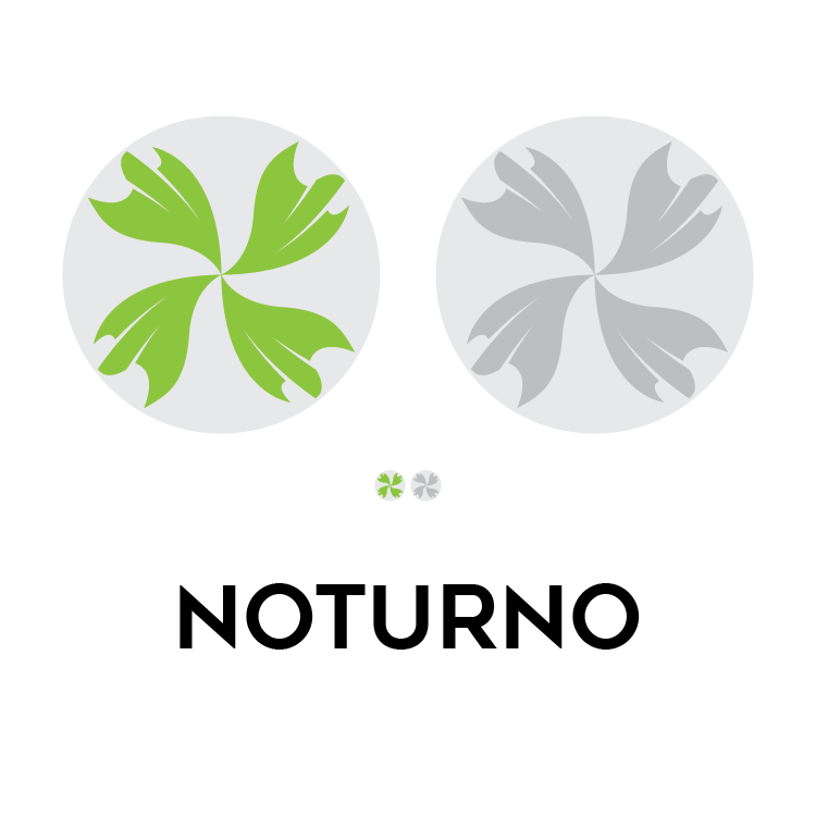 noturno logo